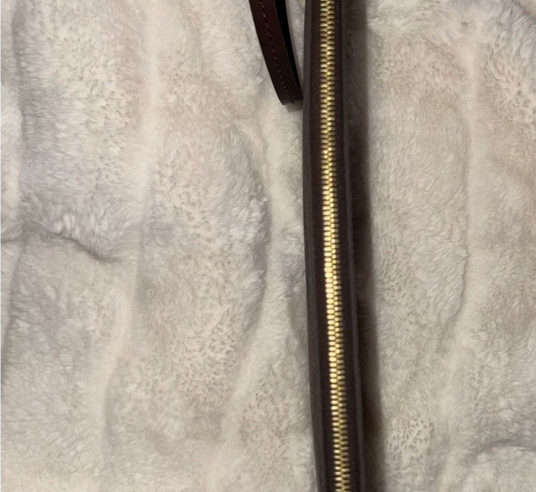 Louis Vuitton Damier Ebene Pouchette comes with Dust bag