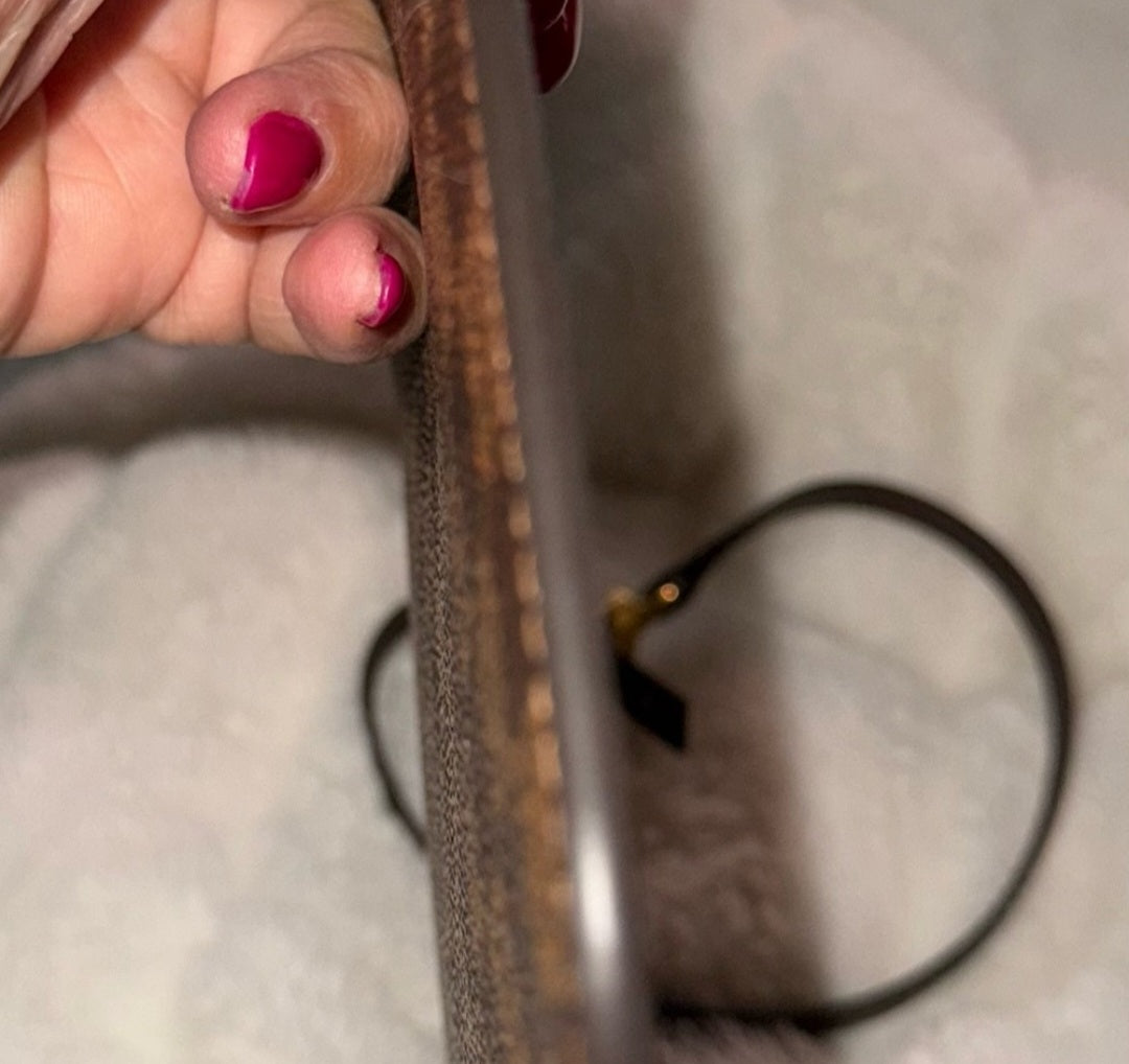 Louis Vuitton Damier Ebene Pouchette comes with Dust bag