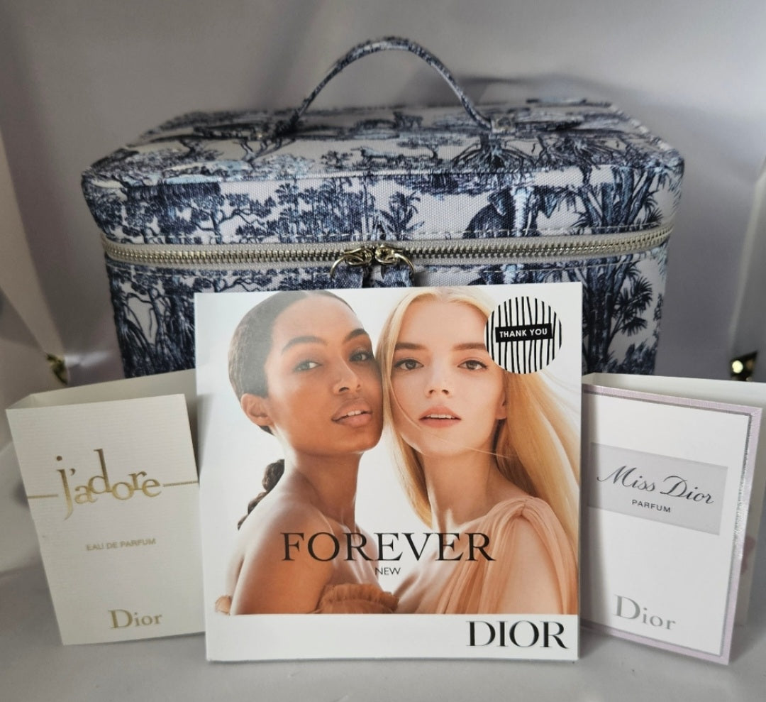 Dior Around the World Train case Large